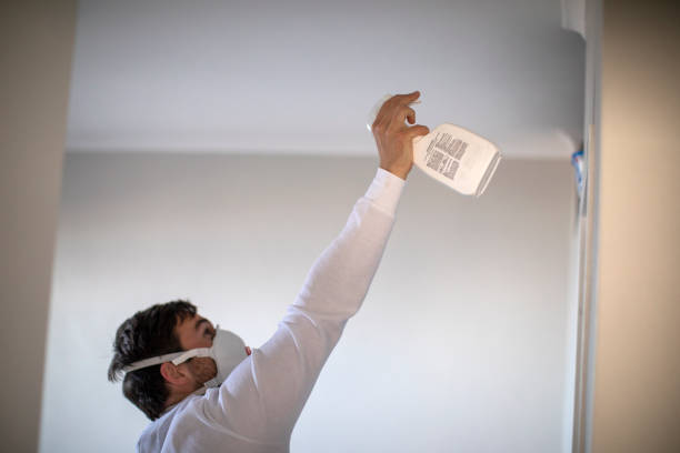 Best Mold Removal Company Near Me  in Hampton, TN